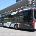 Illustration bus RGTR