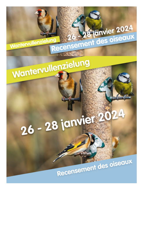 Natur & Ëmwelt | Recensement des oiseaux 26-28 janvier 2024