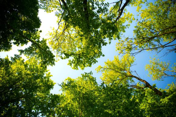 MiNELL │ recrutement: 1 Coordinateur/trice éducation à l’environnement