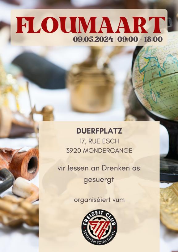 STG Fräizäitclub │Brocante