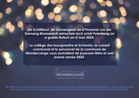 Joyeuses fêtes et bonne année 2024