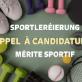 Mérite sportif