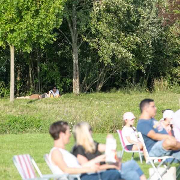 Kino am Park