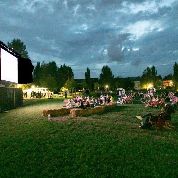 Kino am Park