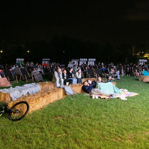 Kino am Park