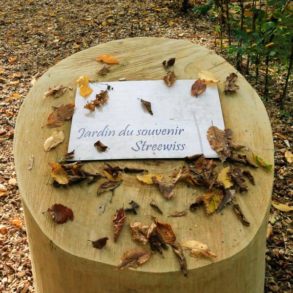 Bëschkierfecht Hennebësch | Cimetière en forêt Hennebësch