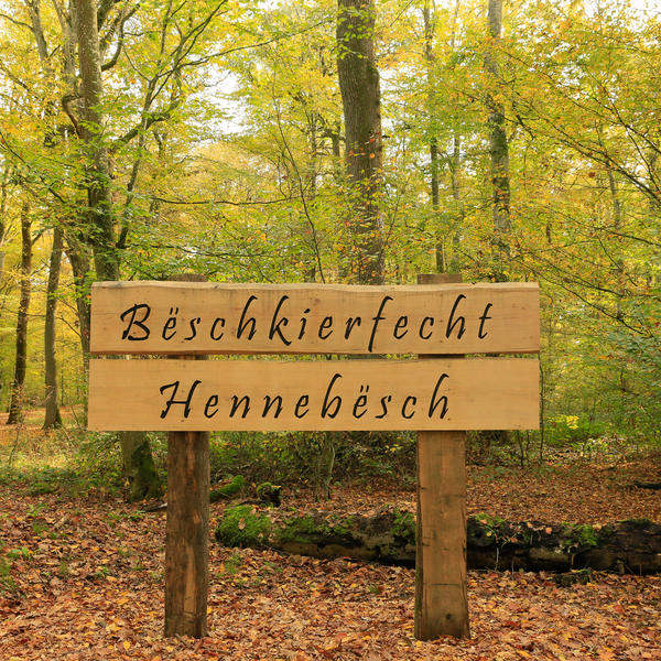 Bëschkierfecht Hennebësch | Cimetière en forêt Hennebësch