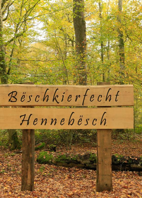 Bëschkierfecht Hennebësch | Cimetière en forêt Hennebësch