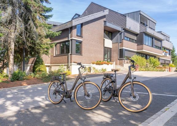 e-bikes