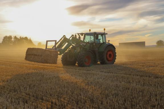Journée internationale de l'Homme | Le quotidien des jeunes agriculteurs et viticulteurs