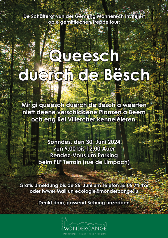 Queesch duerch de Bësch