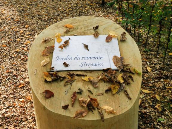 Bëschkierfecht Hennebësch | Cimetière en forêt Hennebësch