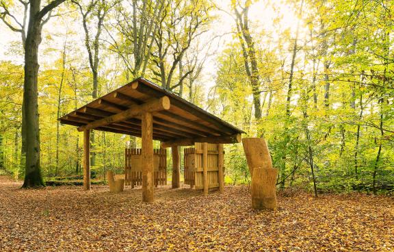 Bëschkierfecht Hennebësch | Cimetière en forêt Hennebësch