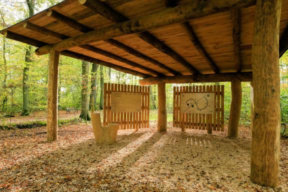 Bëschkierfecht Hennebësch | Cimetière en forêt Hennebësch