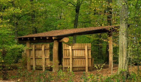 Bëschkierfecht Hennebësch | Cimetière en forêt Hennebësch