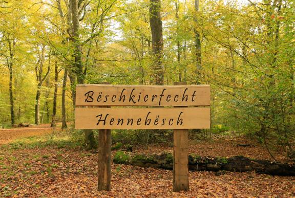 Bëschkierfecht Hennebësch | Cimetière en forêt Hennebësch