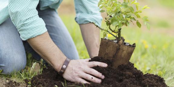 Écologie dans la commune