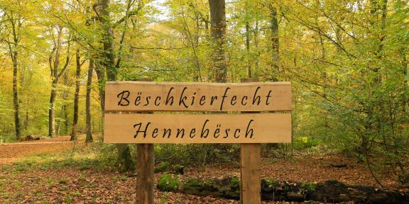 Bëschkierfecht Hennebësch | Cimetière en forêt Hennebësch