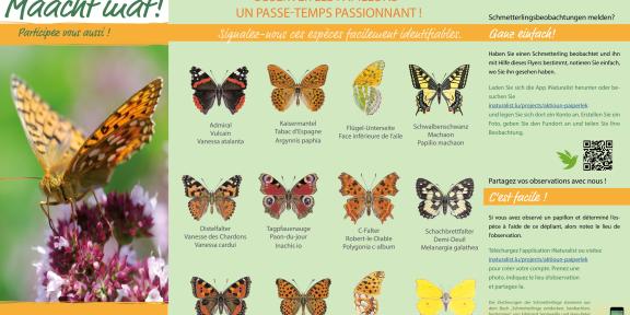 Aktioun Päiperléck | Action papillon